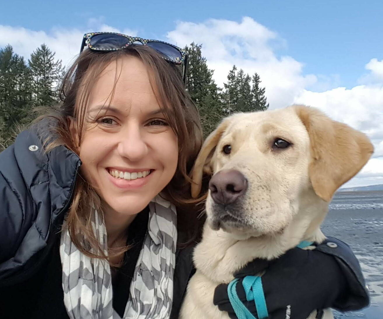 labrador breeder Olympia washington