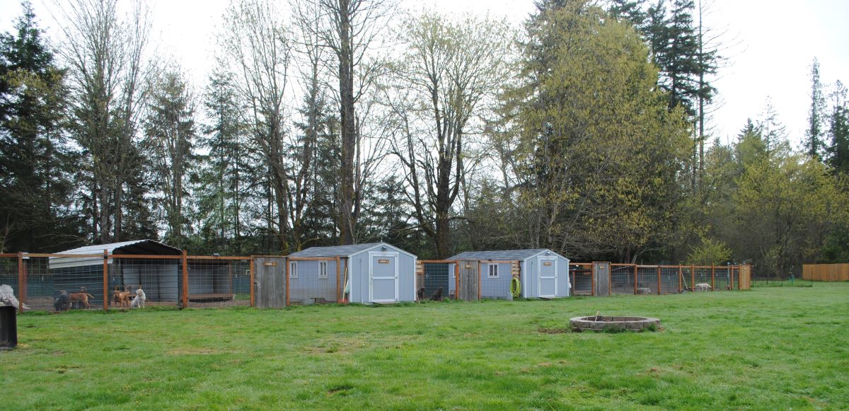 Yard 1-4 Apr 2024.JPG